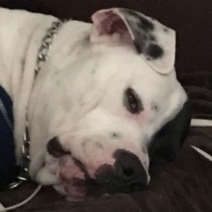 Meet your Posher, Richard